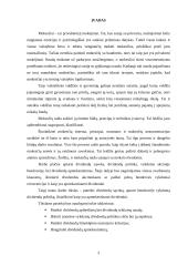 Dividendai ir jų apmokestinimas 3 puslapis