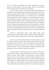 Dividendai ir jų apmokestinimas 9 puslapis