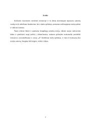 Douglas McGregor: žmogiškųjų santykių teorija, X ir Y teorijos 2 puslapis
