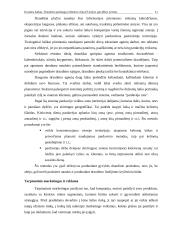 Draudimo paslaugų reklamos rinkų Europos Sąjungos (ES) šalyse specifikos tyrimas 11 puslapis