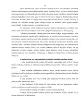 Draudimo veiklos organizavimo ypatumai 12 puslapis