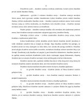 Draudimo veiklos organizavimo ypatumai 13 puslapis