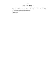 Draudimo veiklos organizavimo ypatumai 16 puslapis