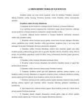 Draudimo veiklos organizavimo ypatumai 5 puslapis