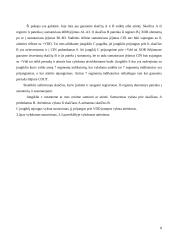 Dvejetainis 4 bitų sumatorius-atėmiklis 9 puslapis