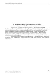 Dvejetainis keturių bitų sumatorius-atėmiklis  12 puslapis