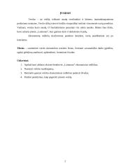 Ekonominių rodiklių skaičiavimas: UAB "Laimonas" 2 puslapis