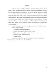 Ekonominių veiklos rodiklių skaičiavimas ir analizė: UAB "Dirbtuvėlė" 3 puslapis