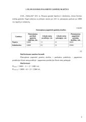 Ekonominių veiklos rodiklių skaičiavimas ir analizė: UAB "Dirbtuvėlė" 4 puslapis