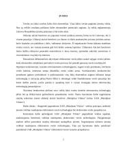 Elektroninio verslo perspektyvos: statybinių medžiagų prekyba UAB "Metalplast Vilnius" 2 puslapis