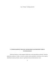 Elektroninio verslo perspektyvos: statybinių medžiagų prekyba UAB "Metalplast Vilnius" 11 puslapis