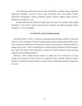 Elektroninio verslo perspektyvos: statybinių medžiagų prekyba UAB "Metalplast Vilnius" 12 puslapis