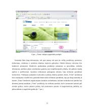 Elektroninio verslo perspektyvos: statybinių medžiagų prekyba UAB "Metalplast Vilnius" 13 puslapis