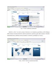 Elektroninio verslo perspektyvos: statybinių medžiagų prekyba UAB "Metalplast Vilnius" 14 puslapis