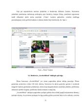 Elektroninio verslo perspektyvos: statybinių medžiagų prekyba UAB "Metalplast Vilnius" 15 puslapis