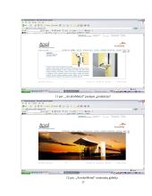 Elektroninio verslo perspektyvos: statybinių medžiagų prekyba UAB "Metalplast Vilnius" 17 puslapis