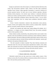 Elektroninis verslas ir elektroninės biržos 13 puslapis