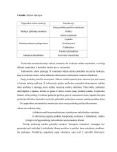 Elektroninis verslas ir elektroninės biržos 9 puslapis