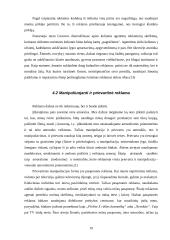 Etika šokoladinių gaminių reklamoje 19 puslapis