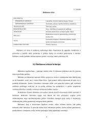 Etika šokoladinių gaminių reklamoje 9 puslapis