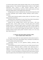 Etilo spirito naudojimo varikliuose privalumai ir gamybos apimtys 19 puslapis