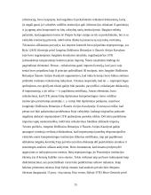 Europos Sąjungos (ES) proporcingumas 13 puslapis