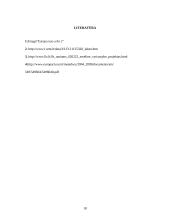 Europos Sąjungos (ES) proporcingumas 16 puslapis