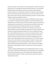 Europos Sąjungos (ES) proporcingumas 4 puslapis