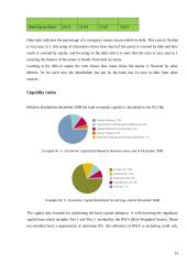 Financial analysis: bank "Nordea" 13 puslapis