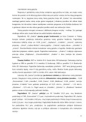 Finansinės būklės analizė: farmacinių preparatų gamyba AB "Sanitas" 11 puslapis