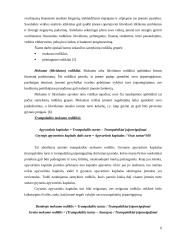 Finansinės būklės analizė: farmacinių preparatų gamyba AB "Sanitas" 6 puslapis