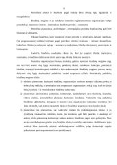 Gamybinės įmonės biudžetų sudarymas 6 puslapis
