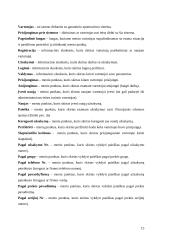 Garantinio aptarnavimo informacinė sistema 15 puslapis