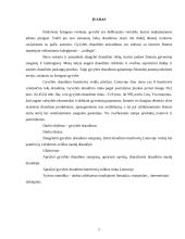 Gyvybės draudimo rinka Lietuvoje 2 puslapis