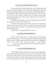 Gyvybės draudimo rinka Lietuvoje 11 puslapis