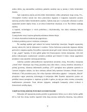 Globalizacijos reiškinys ir valdymas 11 puslapis