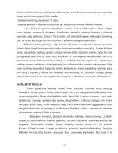 Globalizacijos reiškinys ir valdymas 12 puslapis