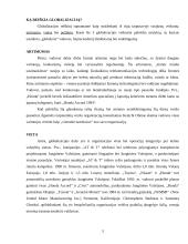 Globalizacijos reiškinys ir valdymas 3 puslapis