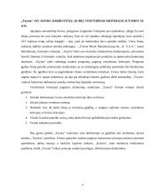 Globalizacijos reiškinys ir valdymas 4 puslapis