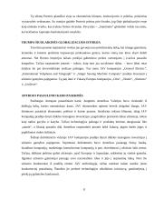 Globalizacijos reiškinys ir valdymas 8 puslapis