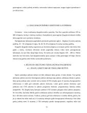 Greitumą lemiantys veiksniai ir jo ugdymo metodika 15 puslapis