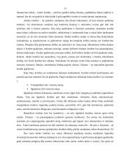 Ilgalaikės investicijos ir jų finansavimas 13 puslapis