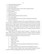 Ilgalaikės investicijos ir jų finansavimas 16 puslapis