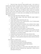 Ilgalaikės investicijos ir jų finansavimas 17 puslapis