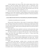 Ilgalaikės investicijos ir jų finansavimas 19 puslapis