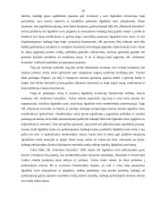 Ilgalaikės investicijos ir jų finansavimas 20 puslapis