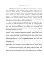 Ilgalaikės investicijos ir jų finansavimas 4 puslapis