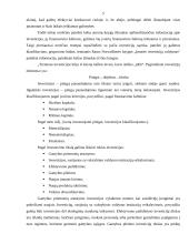 Ilgalaikės investicijos ir jų finansavimas 5 puslapis