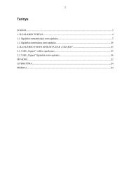 Ilgalaikio turto apskaita: prekyba tabaku UAB "Cigarai" 2 puslapis