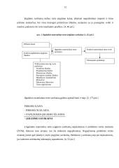 Ilgalaikio turto apskaita: prekyba tabaku UAB "Cigarai" 12 puslapis